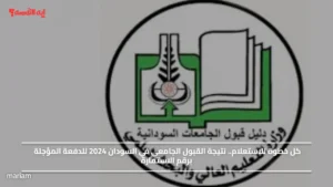 كل خطوة للاستعلام.. نتيجة القبول الجامعي في السودان 2024 للدفعة المؤجلة برقم الاستمارة